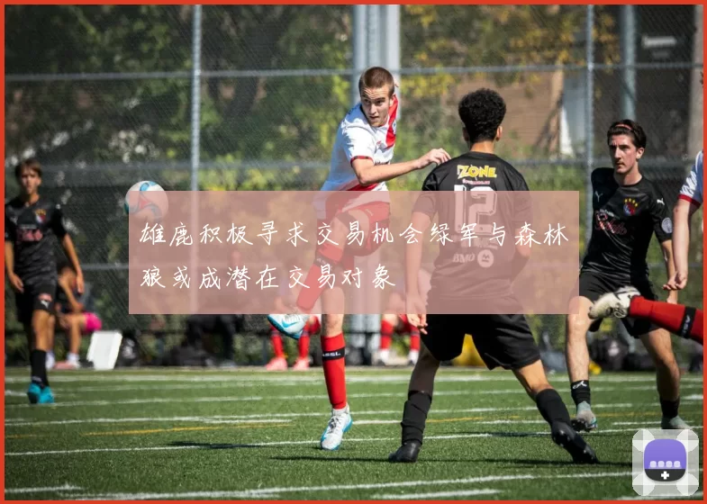 雄鹿积极寻求交易机会绿军与森林狼或成潜在交易对象